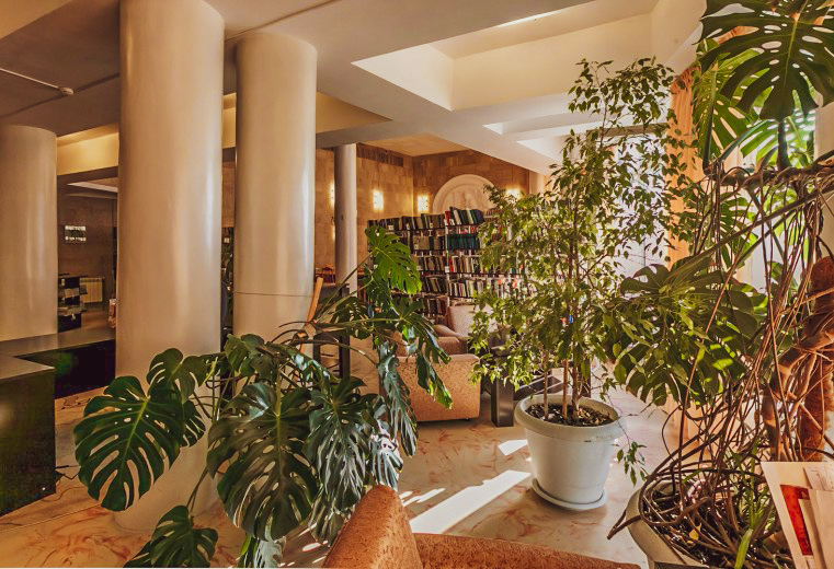 Библиотека в санатории Джинал в городе Кисловодске - фотография