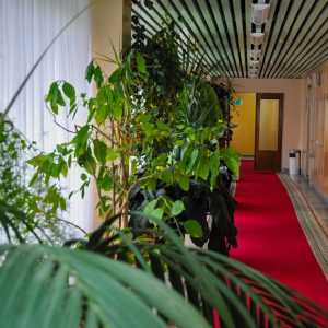 Коридор в санатории Джинал в городе Кисловодске - фотография