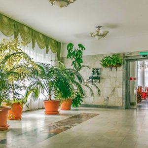 Столовая в санатории Джинал в городе Кисловодске - фотография