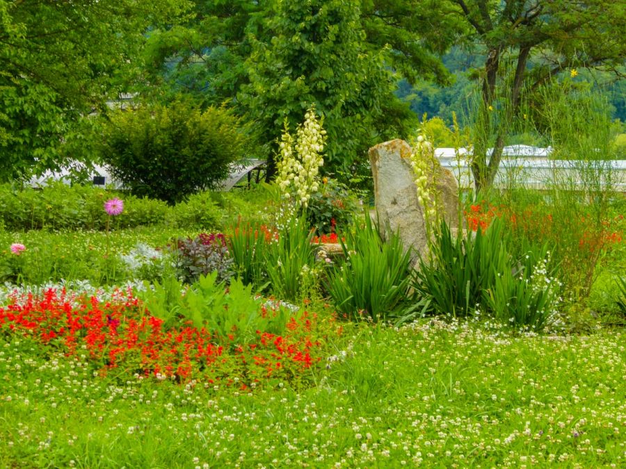 Территория в санатории Джинал в городе Кисловодске - фотография