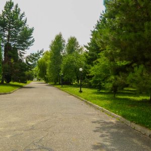 Территория в санатории Джинал в городе Кисловодске - фотография