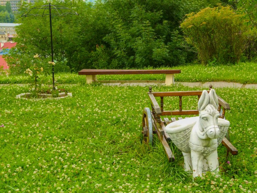 Ослик в санатории Джинал в городе Кисловодске - фотография