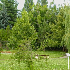 Территория в санатории Джинал в городе Кисловодске - фотография