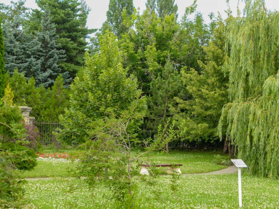 Территория в санатории Джинал в городе Кисловодске - фотография