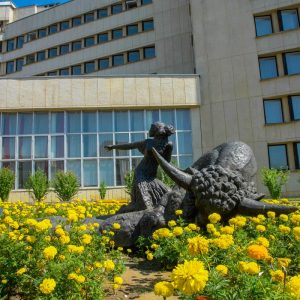 Территория в санатории Джинал в городе Кисловодске - фотография