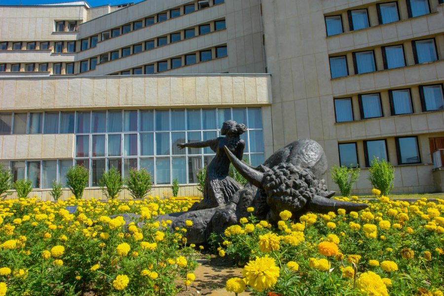 Территория в санатории Джинал в городе Кисловодске - фотография