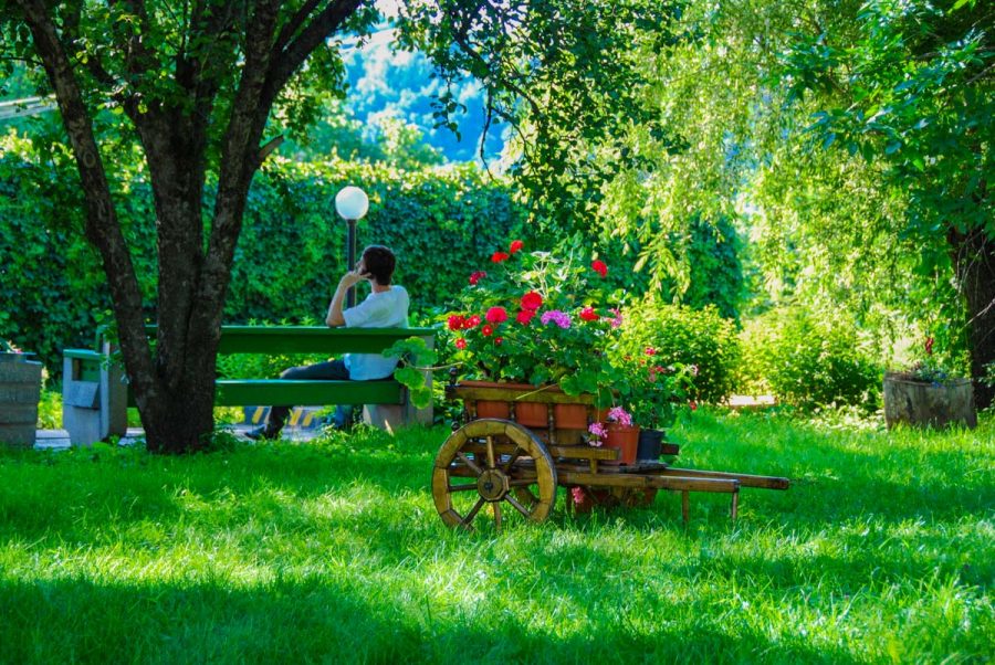 Территория в санатории Джинал в городе Кисловодске - фотография