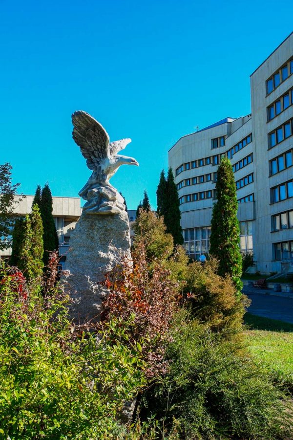 Орел символ КМВ в санатории Джинал в городе Кисловодске - фотография