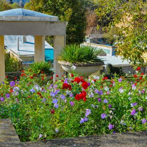 Беседка в санатории Джинал в городе Кисловодске - фотография