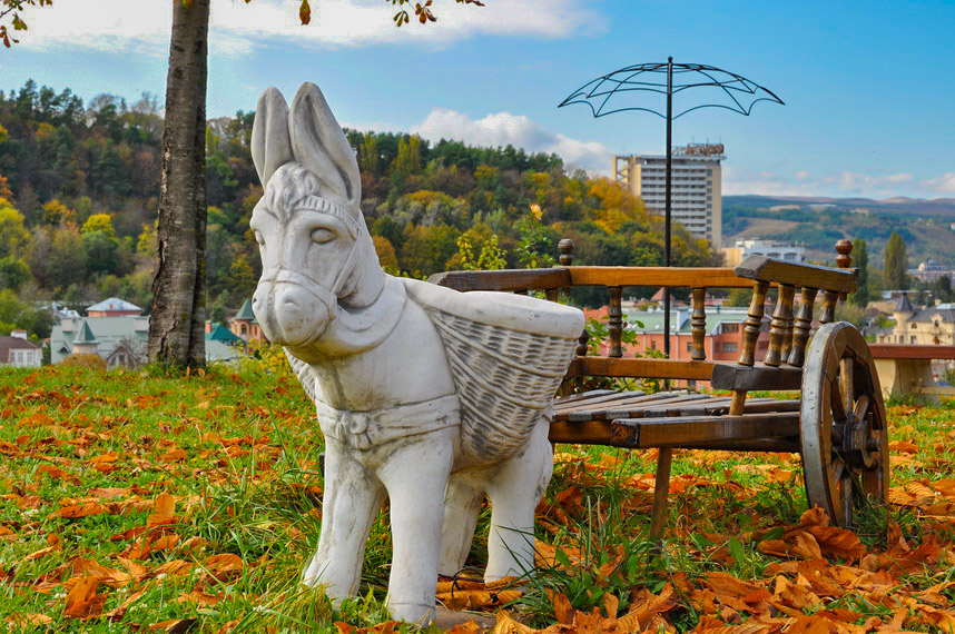 Ослик в санатории Джинал в городе Кисловодске - фотография
