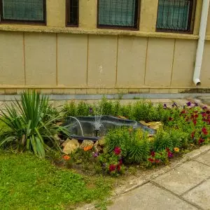 Территория в санатории Джинал в городе Кисловодске - фотография