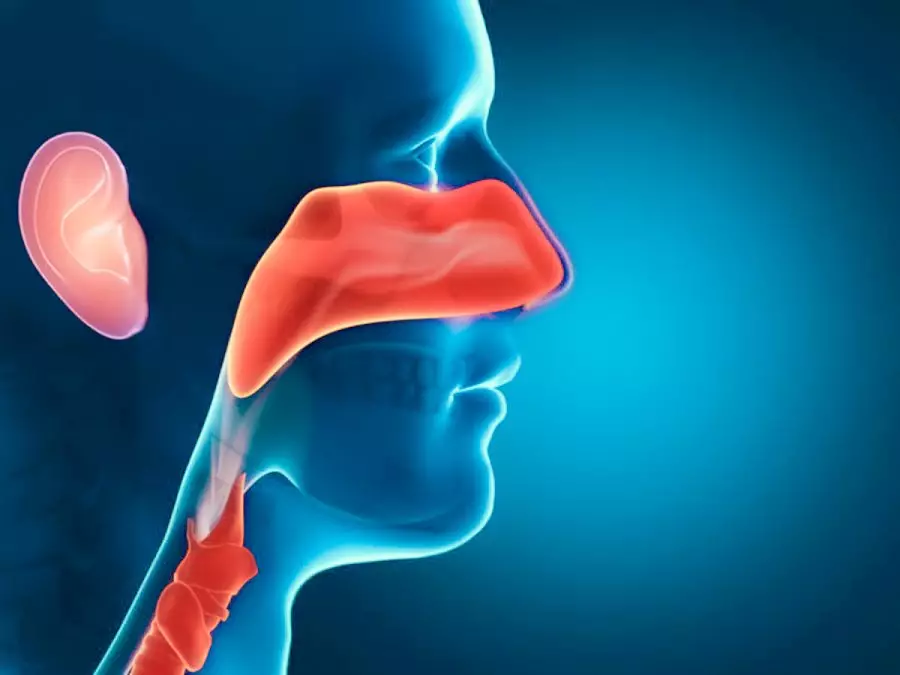 Лечение заболеваний ЛОР органов в санатории - фотография